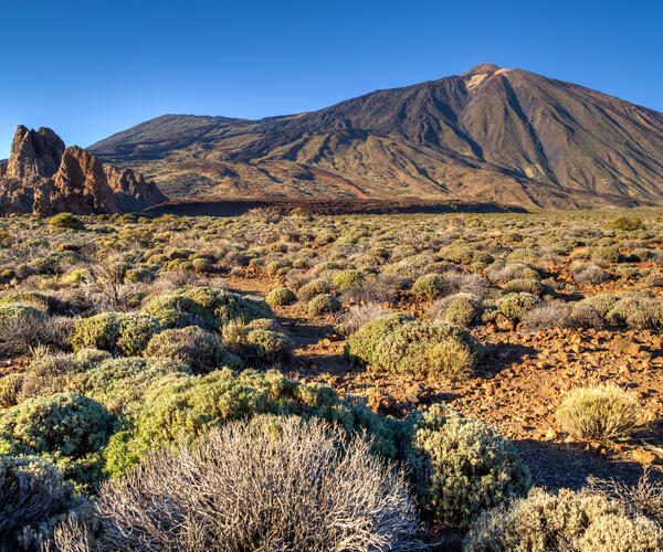 Espagne Canaries : Île de Tenerife