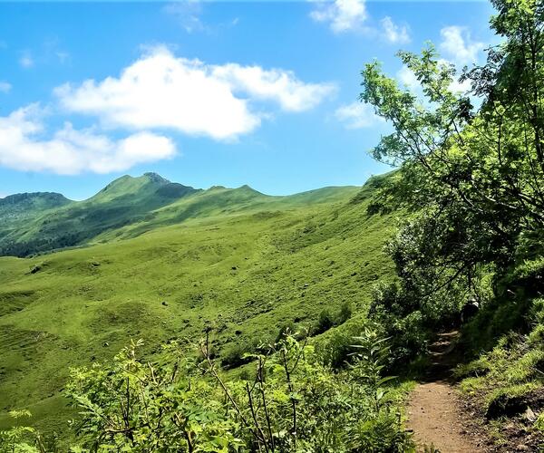 Auvergne : Les Monts du Cantal