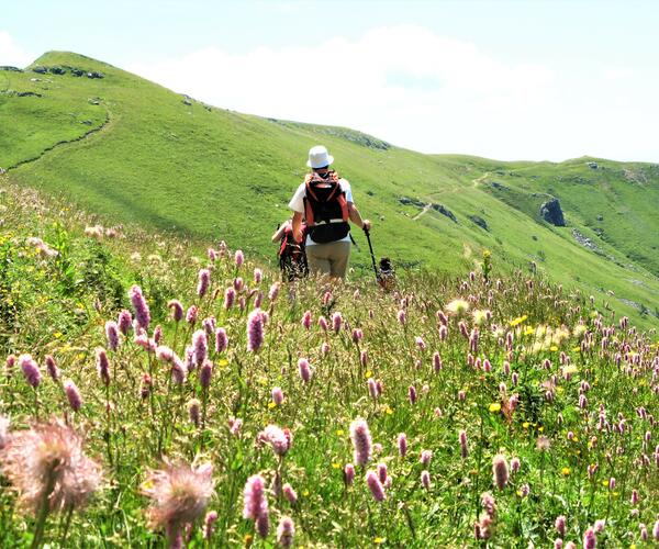 Auvergne : Les Monts du Cantal