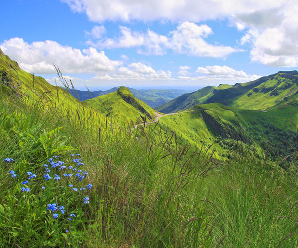 Auvergne : Les Monts du Cantal