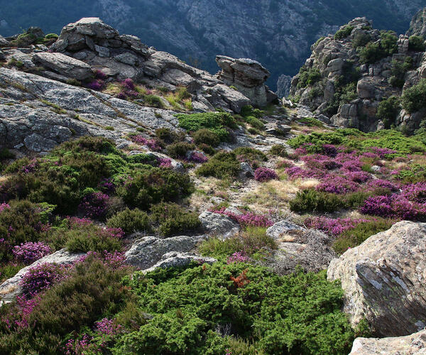 Hérault : Le haut Languedoc