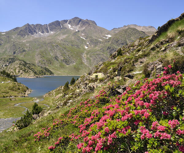 Pyrénées : séjour &quot;eau de forme&quot; en Cerdagne