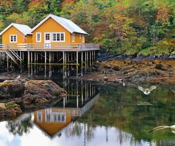 La Norvège : Fjords, Villes et Montagnes du Sud Norvégien