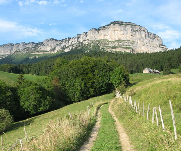 Alpes : Tour de la Chartreuse