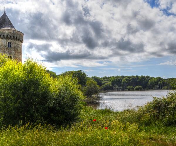 Bretagne : De Port Navalo à La Roche Bernard