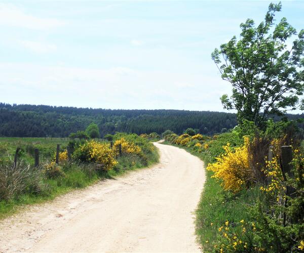 Auvergne : Les Noisettes Sauvages, autour de Saugues