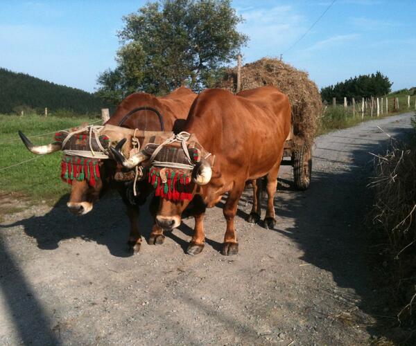 Hendaye - Bilbao