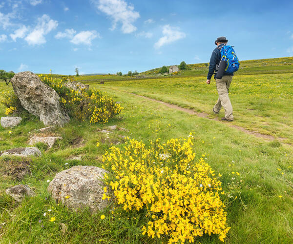 Compostelle Grand Confort : La Grange des Enfants - Conques
