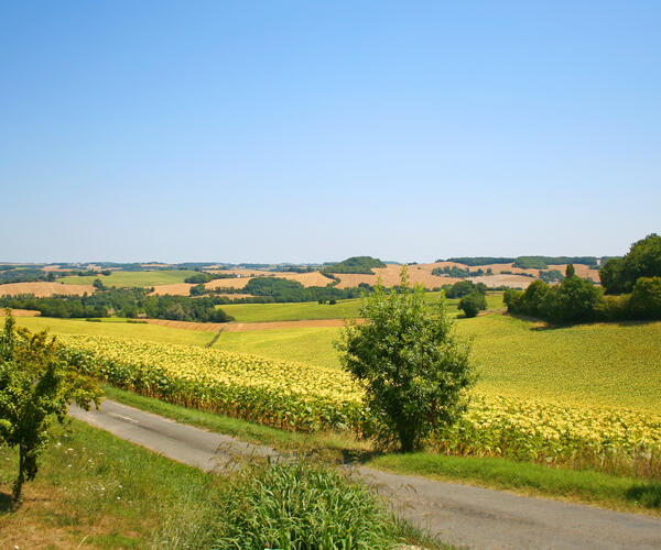 Lectoure - Aire sur L&#039;Adour