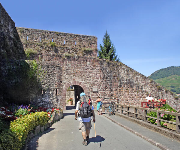 Du Puy-en-Velay à Saint-Jean-Pied-de-Port à pied et en minibus