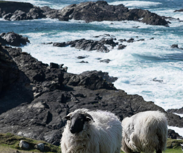 Irlande : Le Connemara et le Western Way