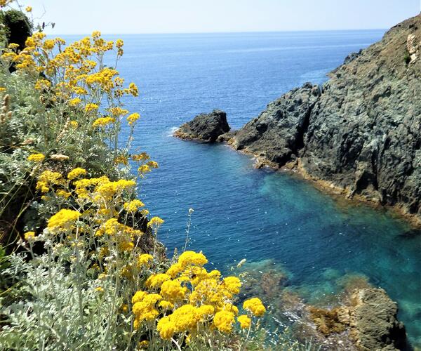 Italie : Cinque Terre