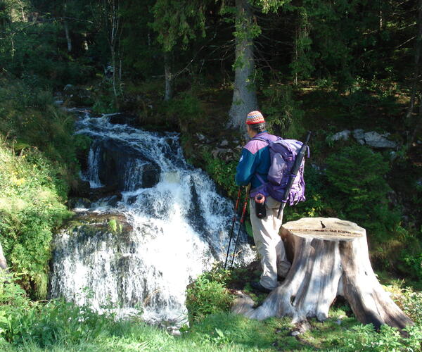 La Forêt Noire et Le Lac de Constance