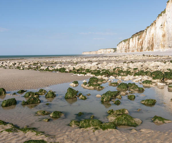 Pas de Calais : La Côte d&#039;Opale de Calais à Tréport