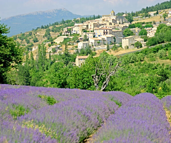 Alpes : La Drôme provençale