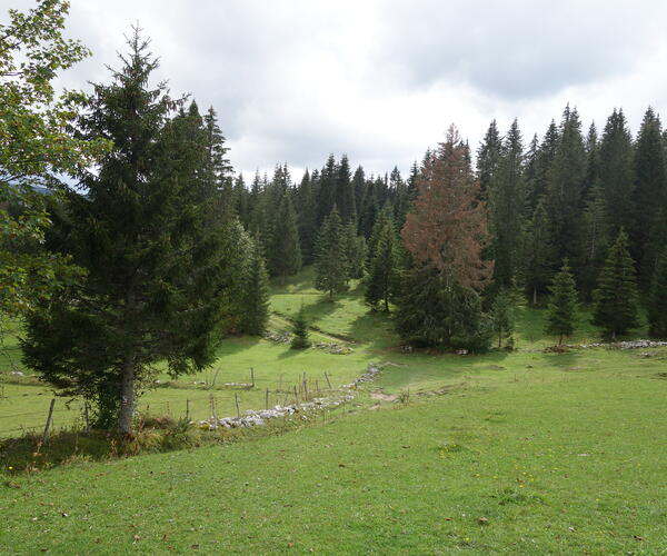 Jura : La grande traversée du Jura