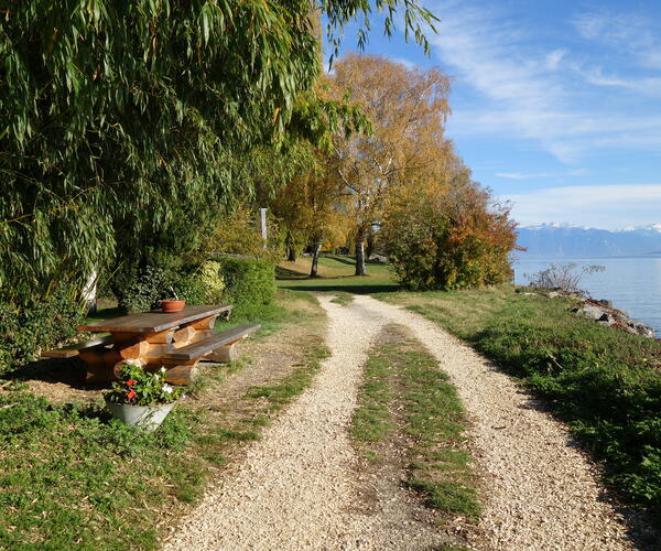 Sur les pas des Huguenots : Genève - Yverdon (Suisse)