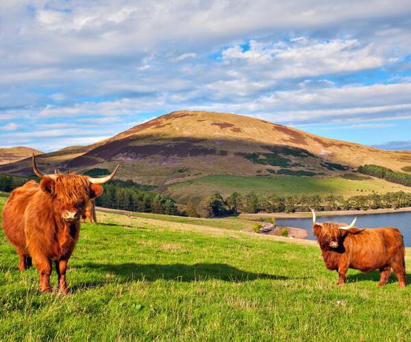 Ecosse : The West Highland Way