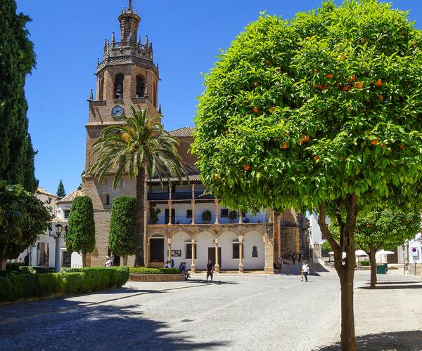 Espagne : Andalousie de Ronda  Tarifa