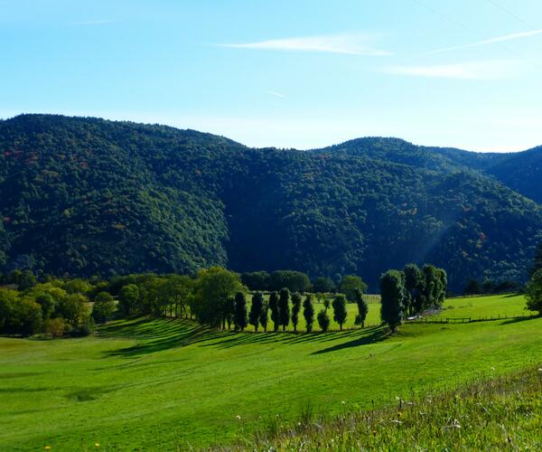 Auvergne du Sud : Gastronomie et Randonnée