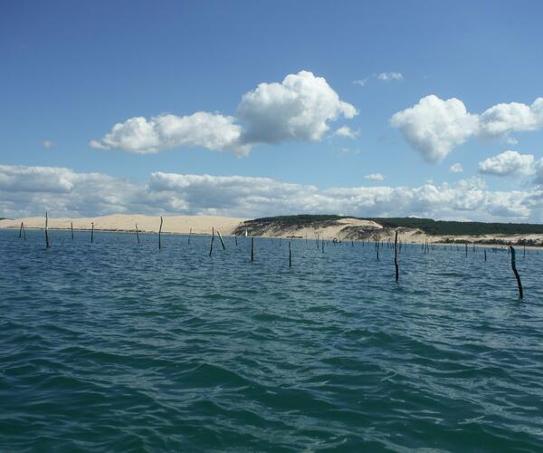 La Vélodyssée : D&#039;Arcachon à Hendaye