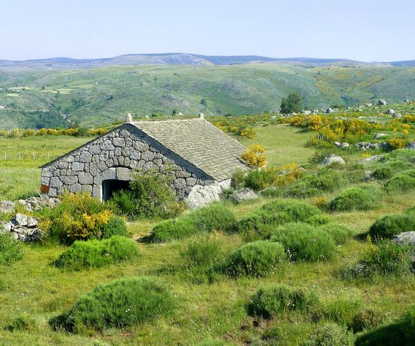 Chasseradès - Saint Jean du Gard