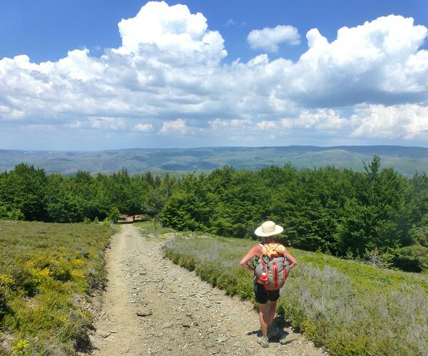 Chasseradès - Saint Jean du Gard