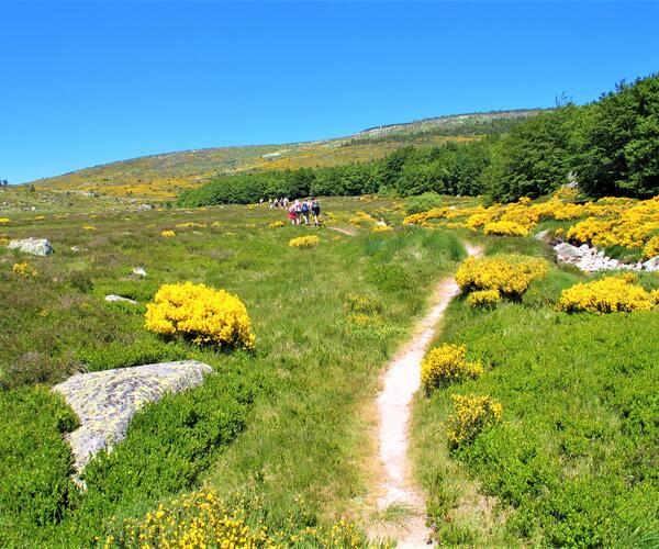 Lozère : Bagnols Les Bains