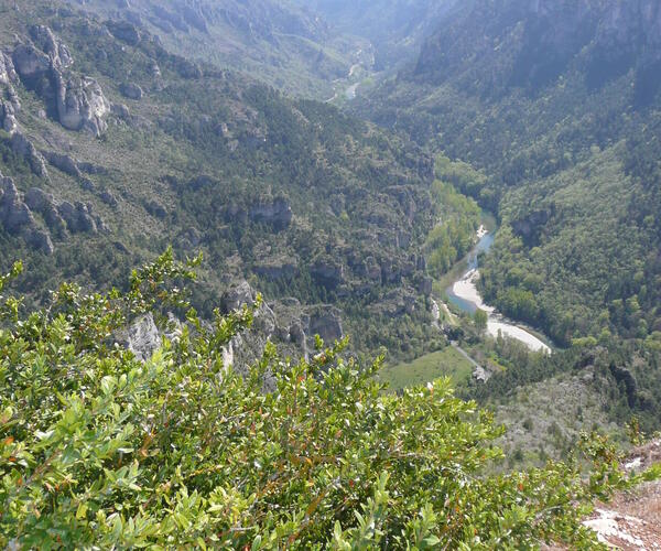 Tarn : Les Bastides Albigeoises