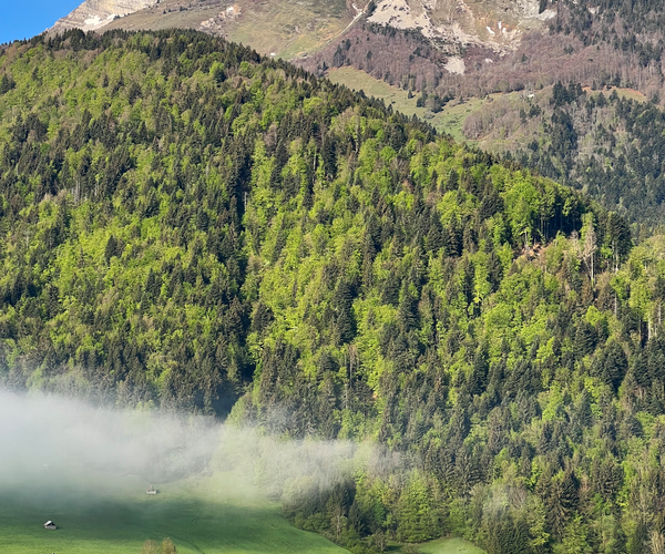Massif des Bauges : Le Tour des Bauges en raquette en liberté
