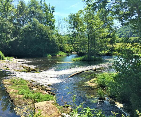 Vosges du Sud : Randonnée et Bien-être à Luxeuil les Bains