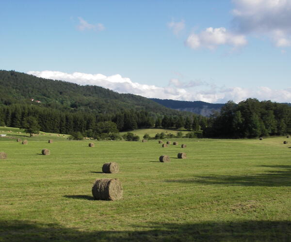 Jura : La grande traversée du Jura