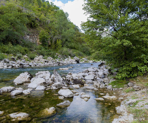 Hérault : Le haut Languedoc