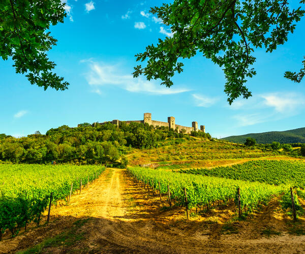 San Miniato - Buonconvento