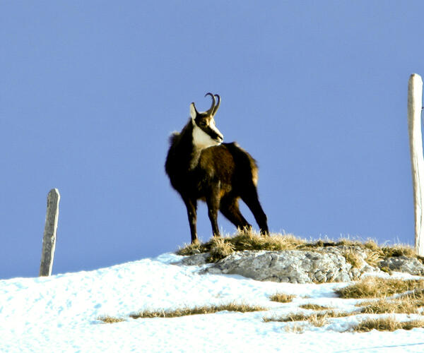 Jura : Raquettes et détente dans le Jura
