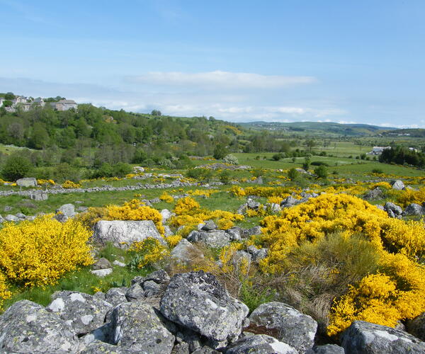 Tour de l&#039;Aubrac via La Baume et le Col de Trebatut