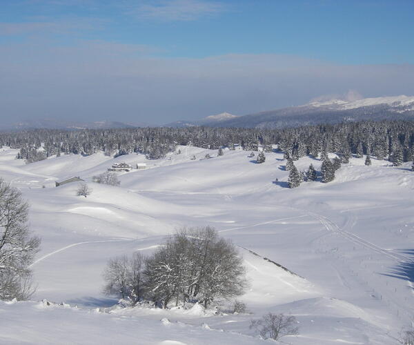 Jura : La grande traversée à raquettes