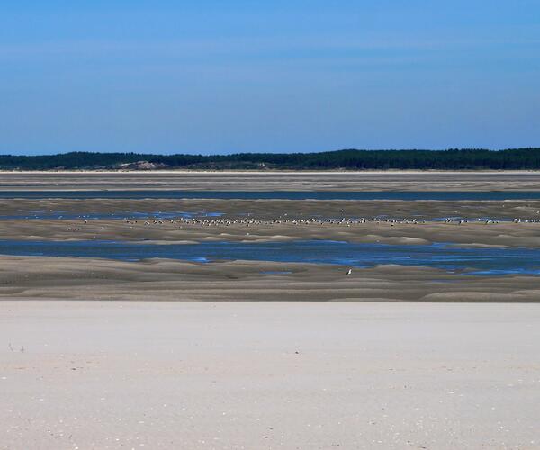 La Baie de Somme