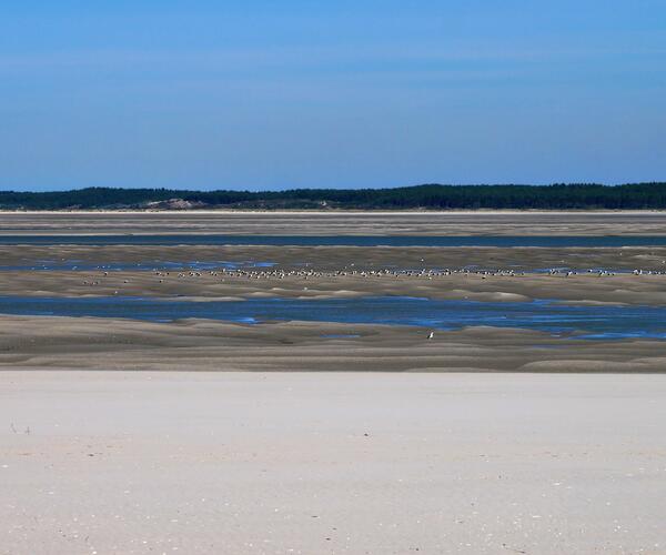 La Baie de Somme