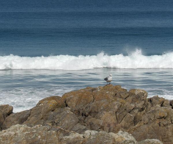 Bretagne : De Lannion à Morlaix