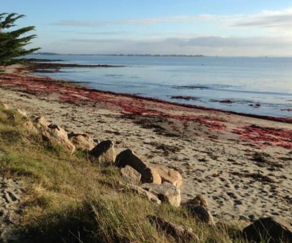 Bretagne : De Port Navalo à La Roche Bernard