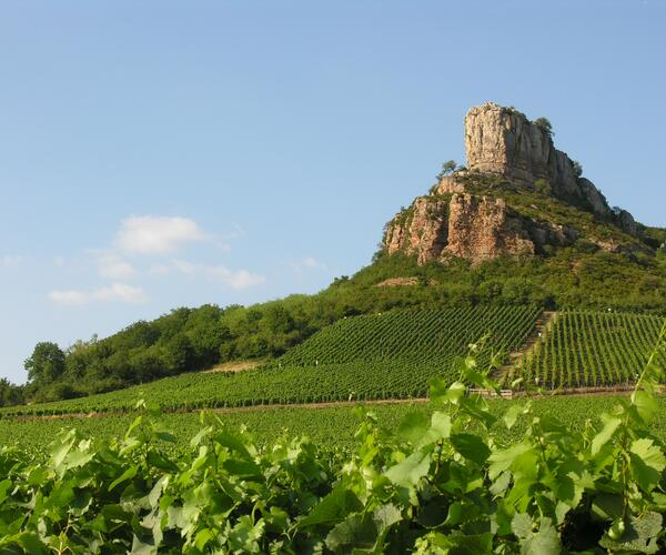 Bourgogne du Sud