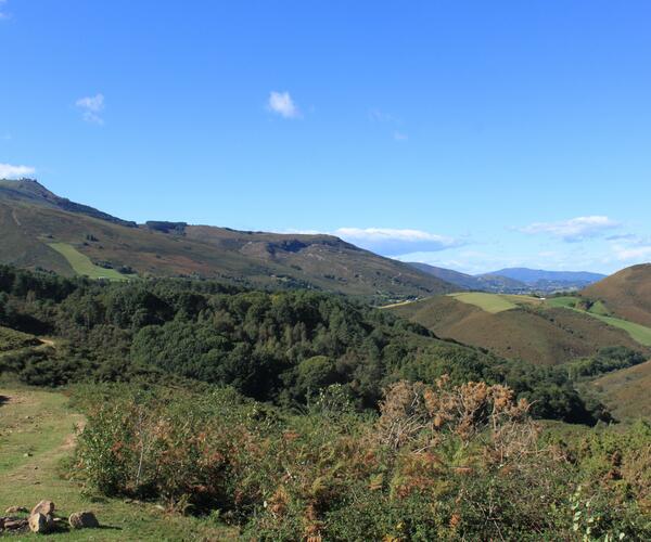 Saint Jean Pied de Port - Hendaye ou Irun, le chemin basque