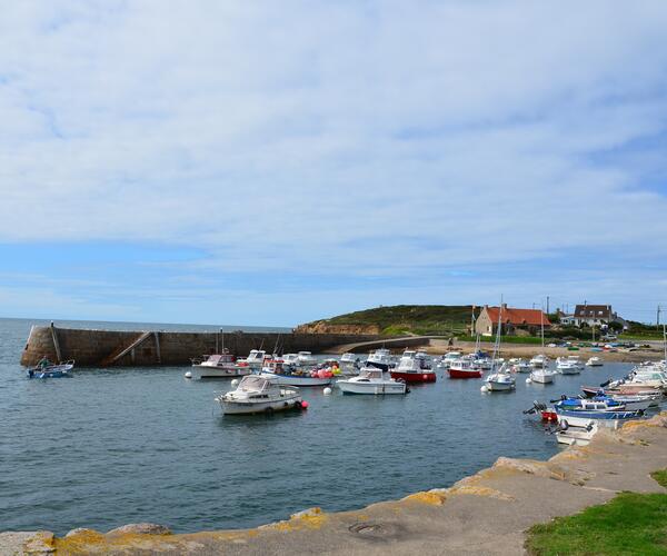 Normandie - Cotentin : De Portbail à Hauteville sur Mer