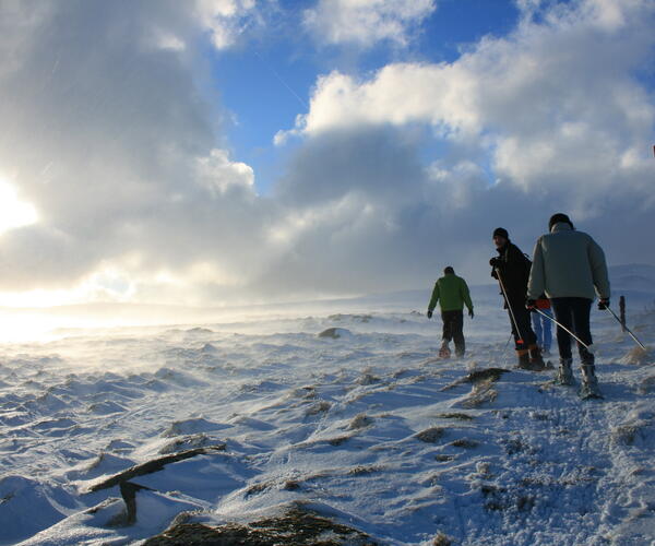 Auvergne : Le Sud du Sancy en Raquettes