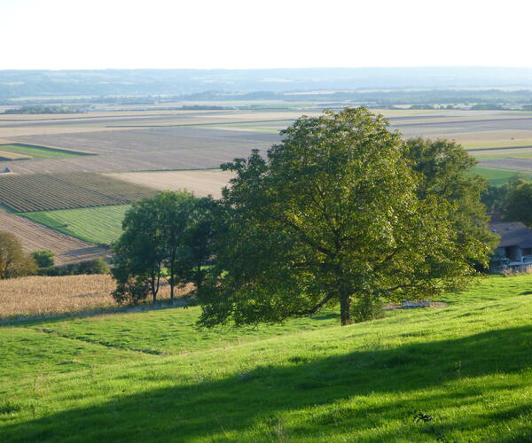 Saint-Genix - Condrieu