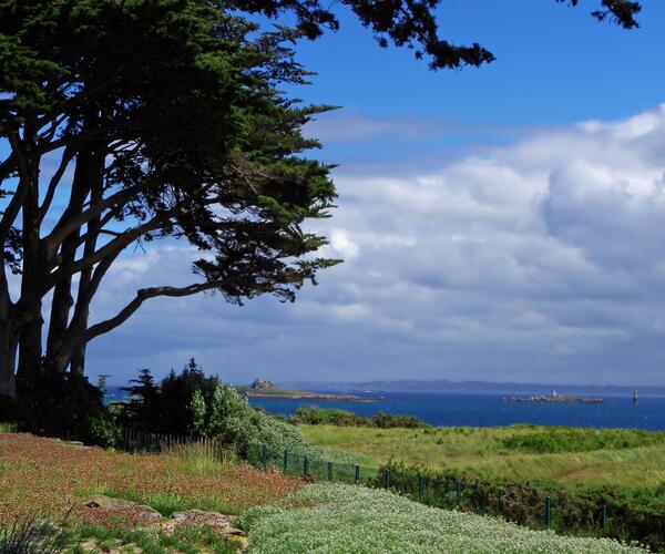 Bretagne : Roscoff et l&#039; île de Batz en accompagné