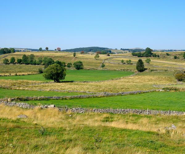 Lozère : Au cœur du Gévaudan entre Aubrac et Margeride