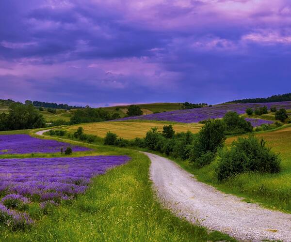 Luberon : Senteurs de Provence