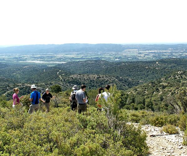 Luberon : Senteurs de Provence